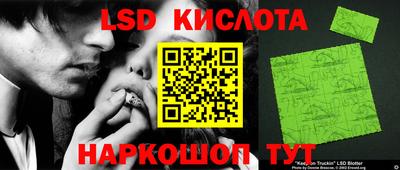 гидропоника Краснокаменск