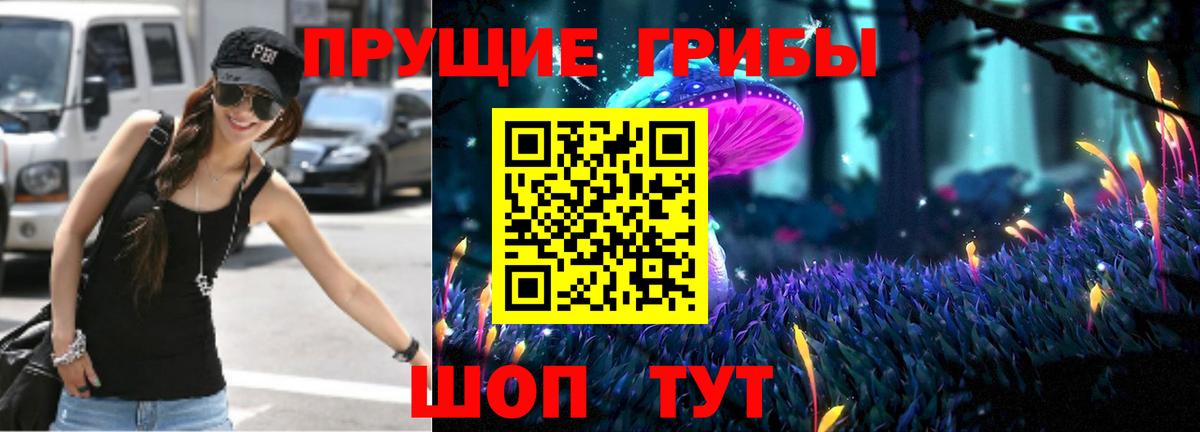 Кизилюрт  Псилоцибиновые грибы Psilocybine cubensis  Псилоцибиновые грибы Cubensis  Вход с VPN 